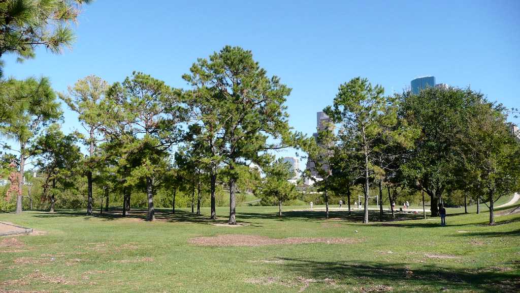 21 Best Parks in Houston, Houston Parks and Garden Space