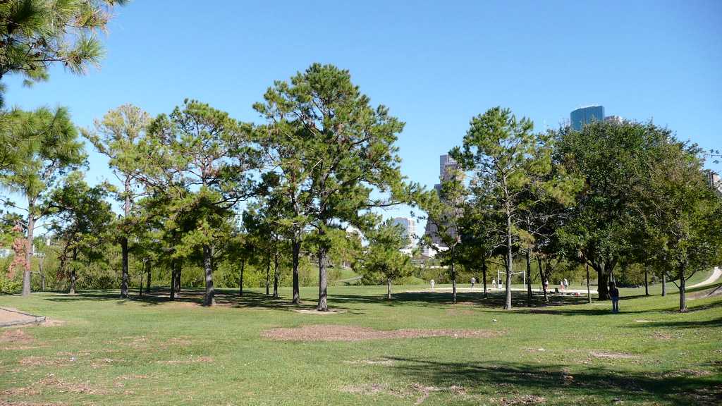 Scenic parks in Houston perfect for picnics and relaxing