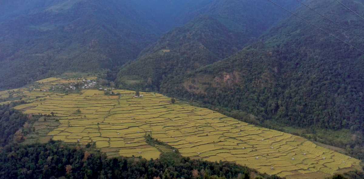 Jigme Singye Wangchuk National Park