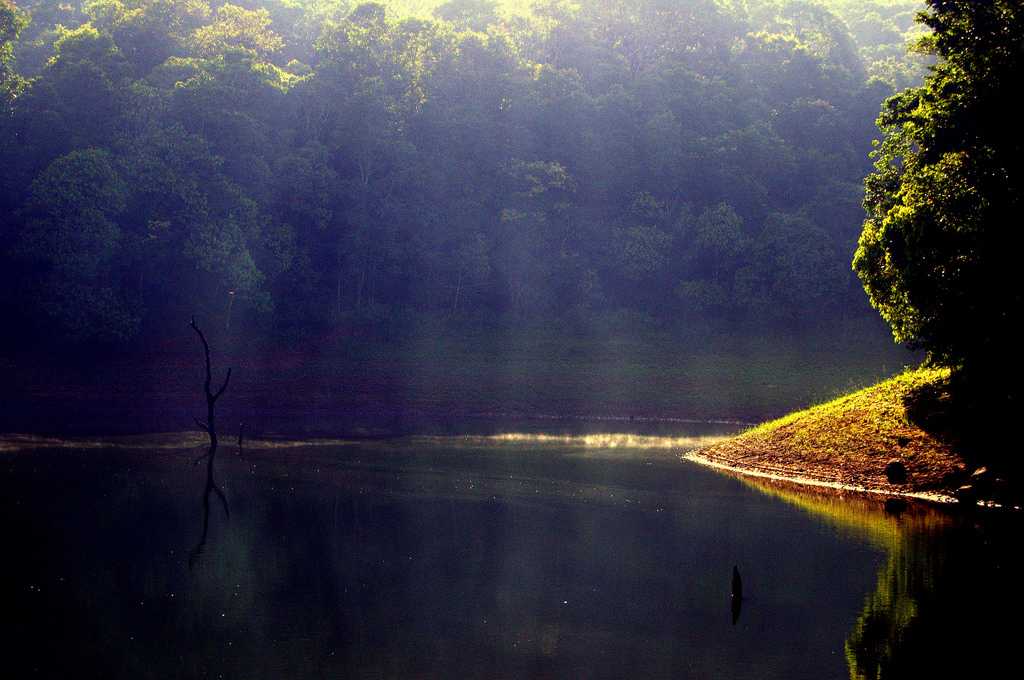 Thekkady Mullaperiyar Lake