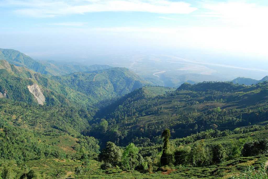 Winter Season, Kurseong