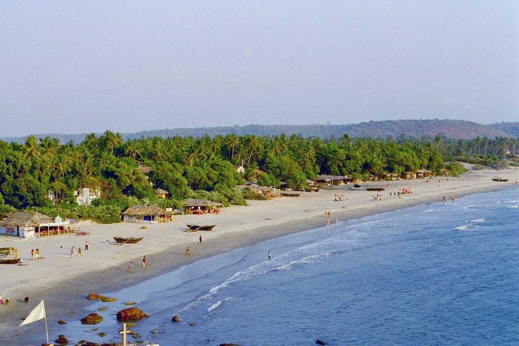  Arambol Beach 
