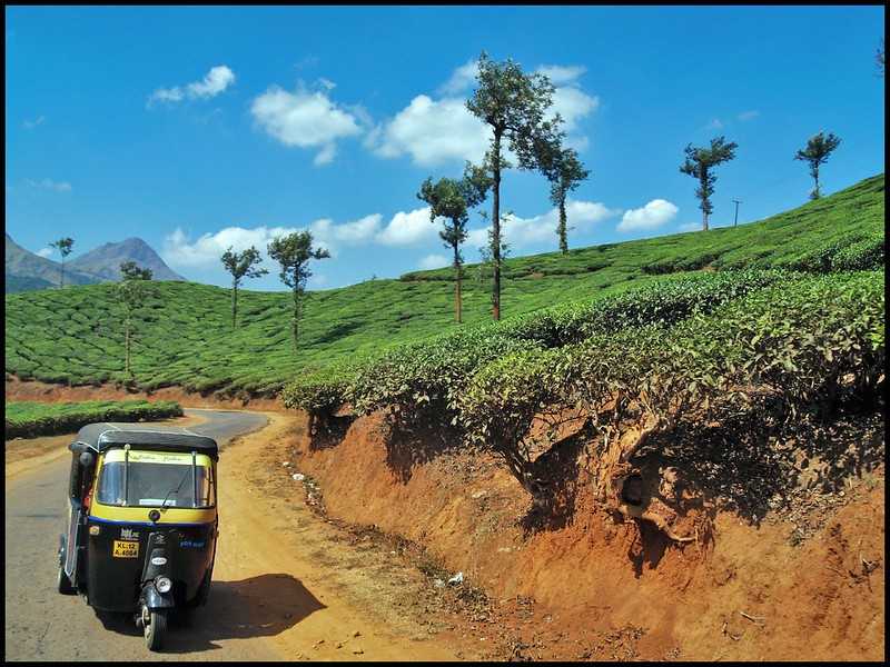 wayanad to munnar road trip