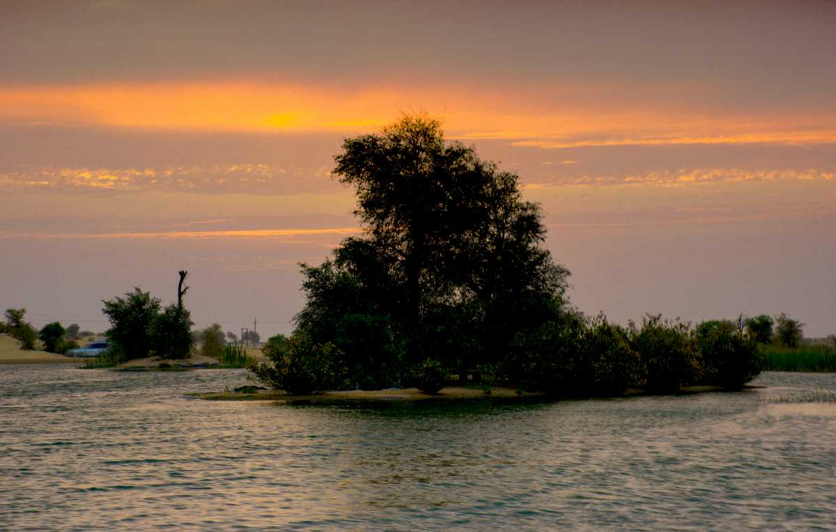 Al Qudra Lake