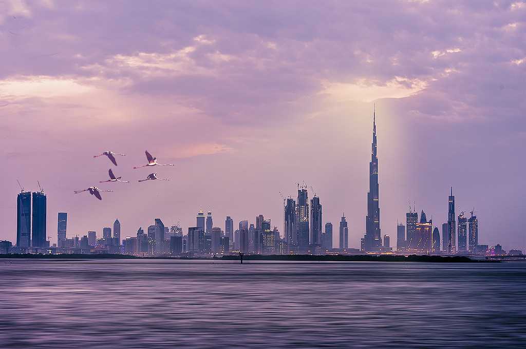 Dubai Creek Harbour