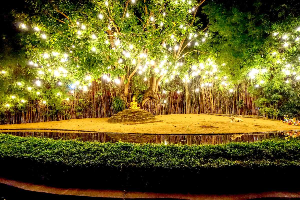 5 Gardens and Parks in Chiang Mai to Relax and Rejuvenate