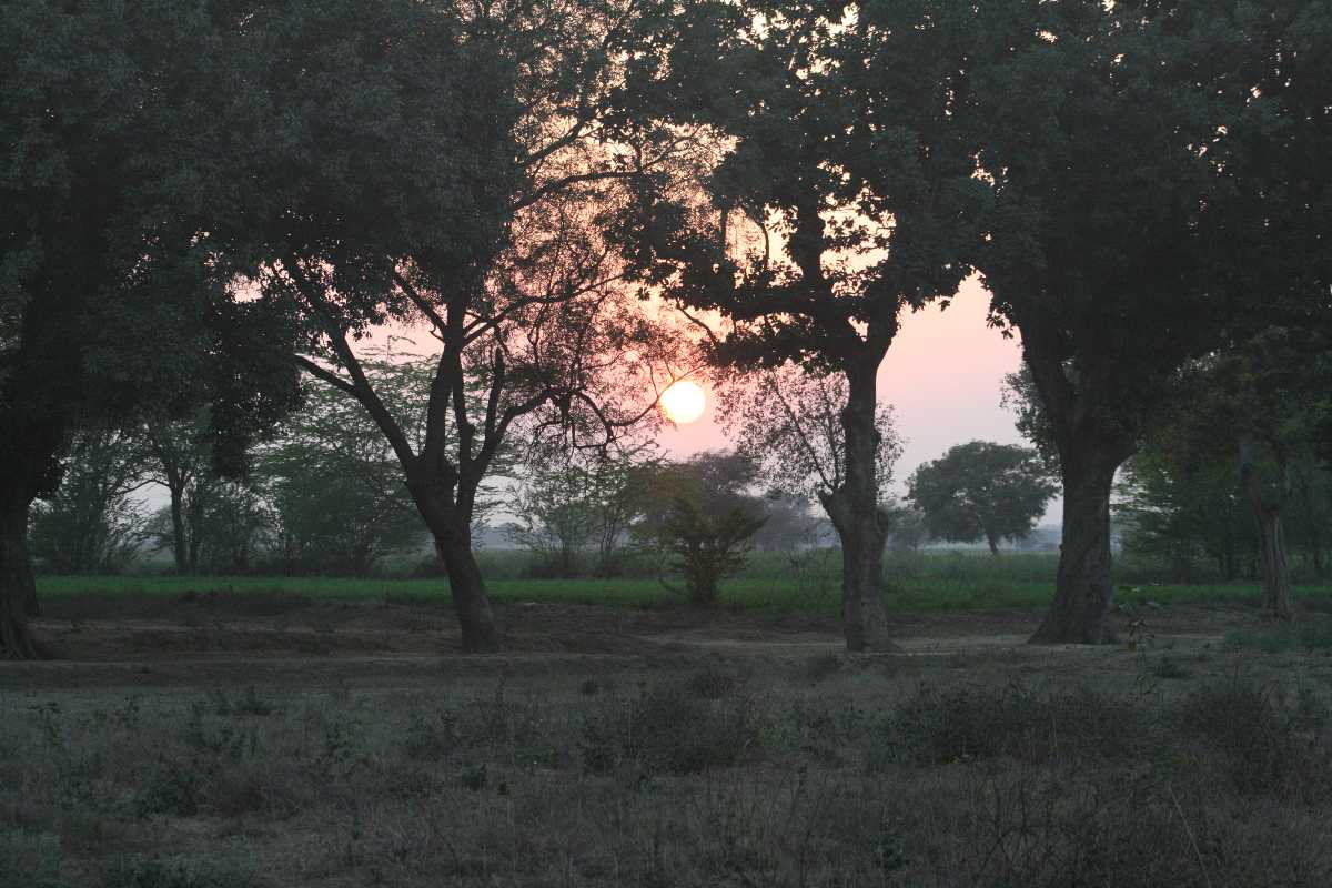 Sunset at Chambal Safari Lodge