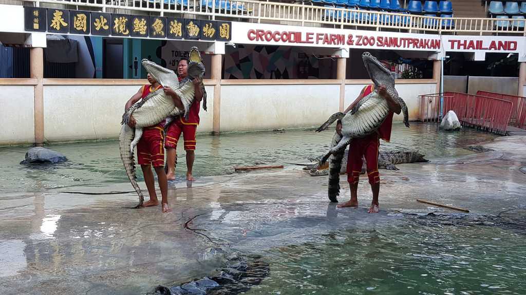 Samutprakarn Crocodile Farm and Zoo Bangkok Thailand