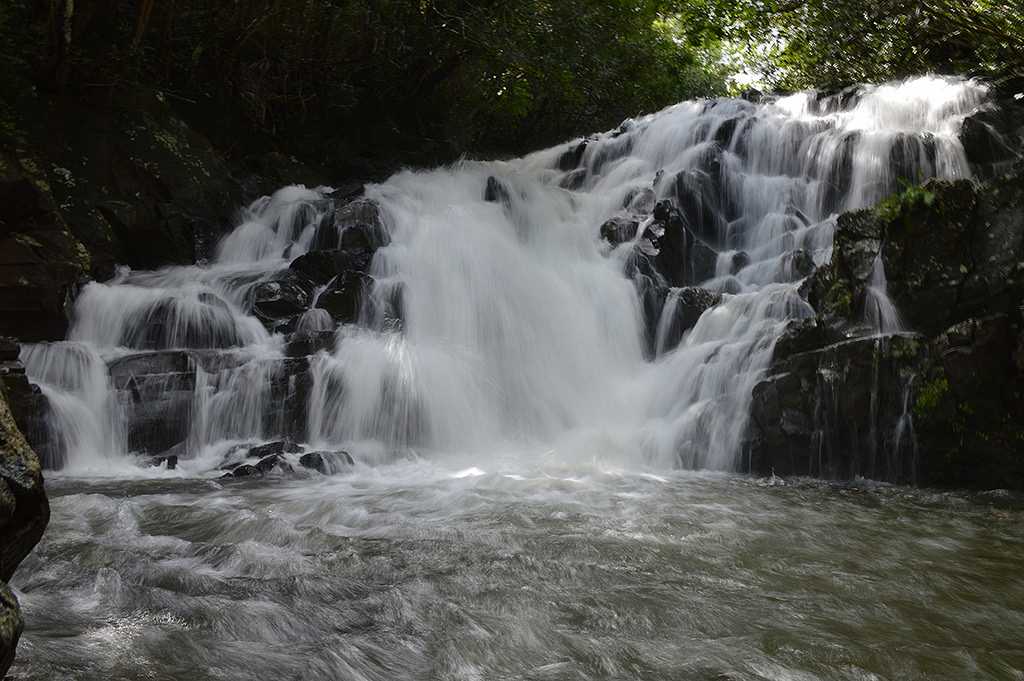 Frederica Nature Reserve