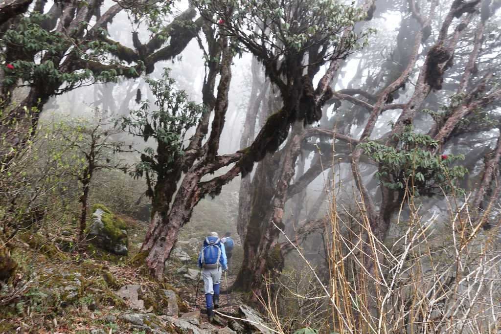 Summer season, West Sikkim