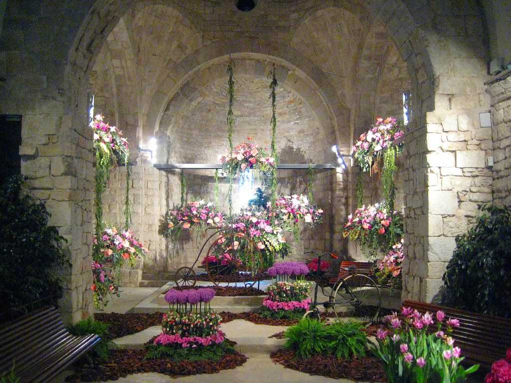 flowers, church, colourful, girona