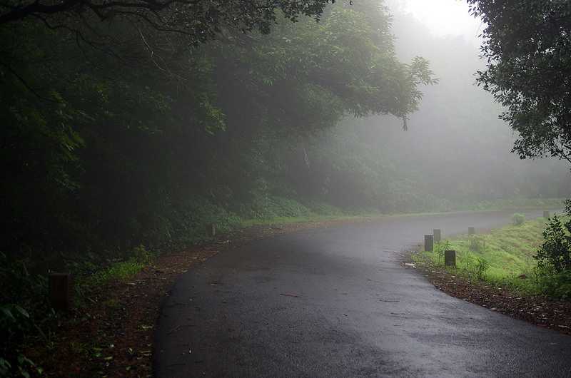 Amboli in the monsoon