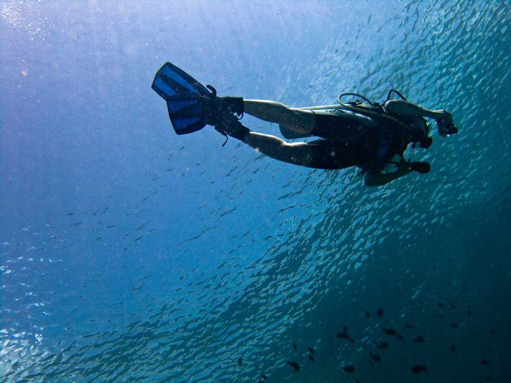 Diving in Sri Lanka