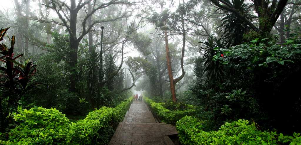 Nature walk in nandi hills