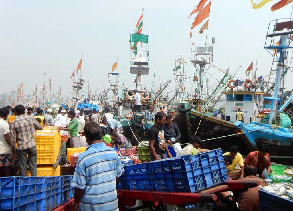 Sassoon Docks Fish Market