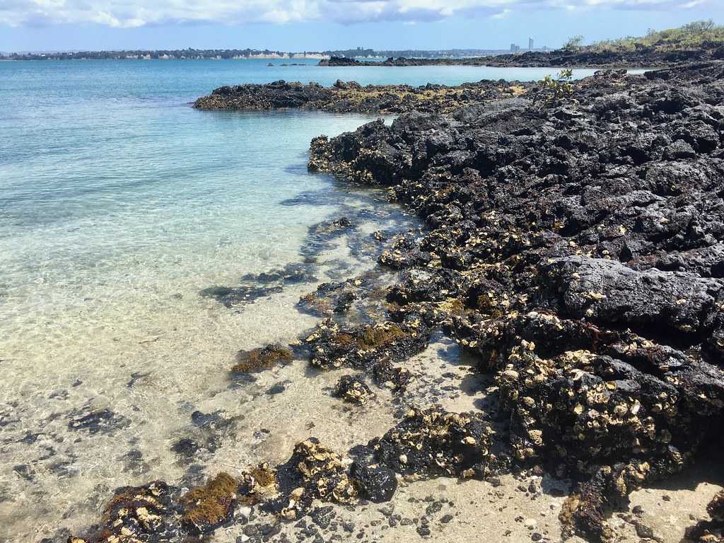 Rangitoto Island