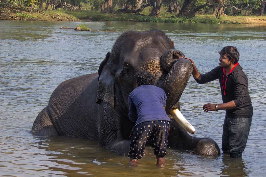 Attraction near the homestay