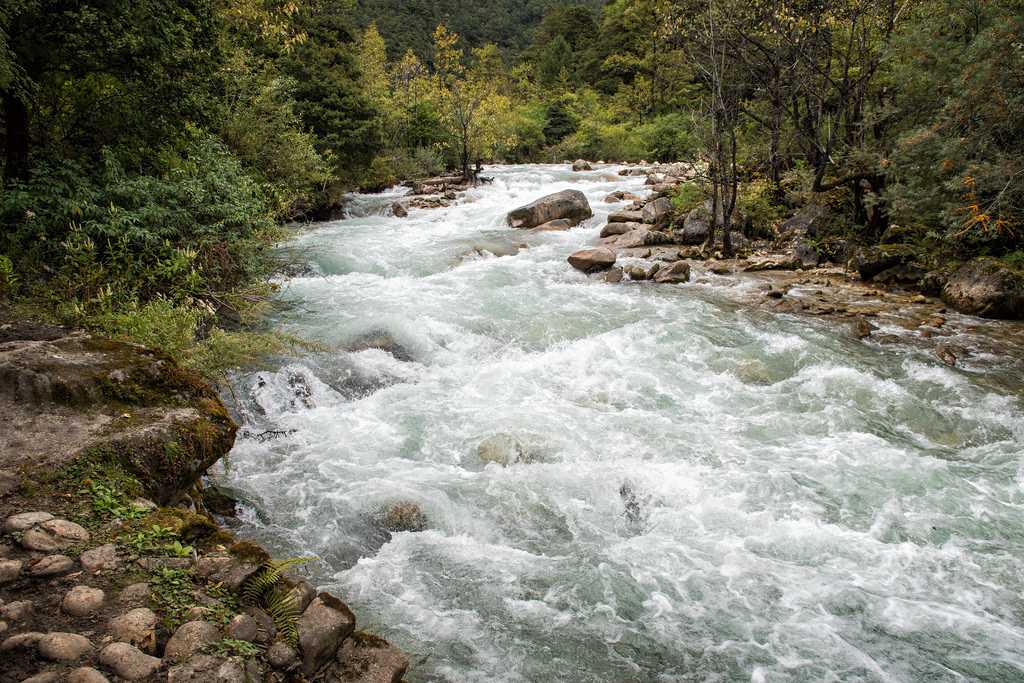 Paro Chhu, Paro River