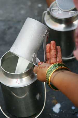 Milch in Indien, Fakten über Indien