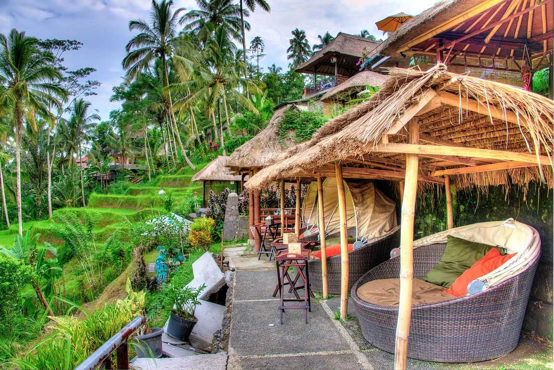 Tegalalang Rice Terrace Cafe