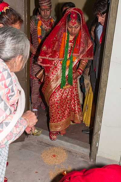 Nepali Saree