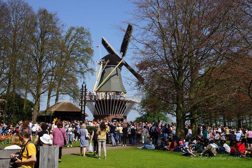 Dutch Windmill at the Keukenhof