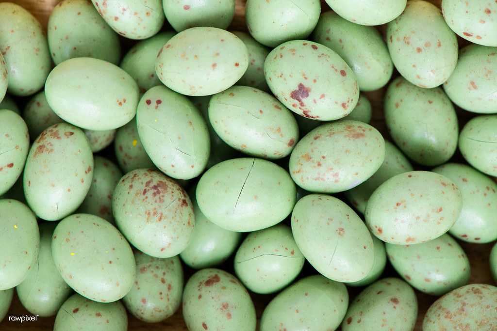 green stone chocolates, naschmarkt