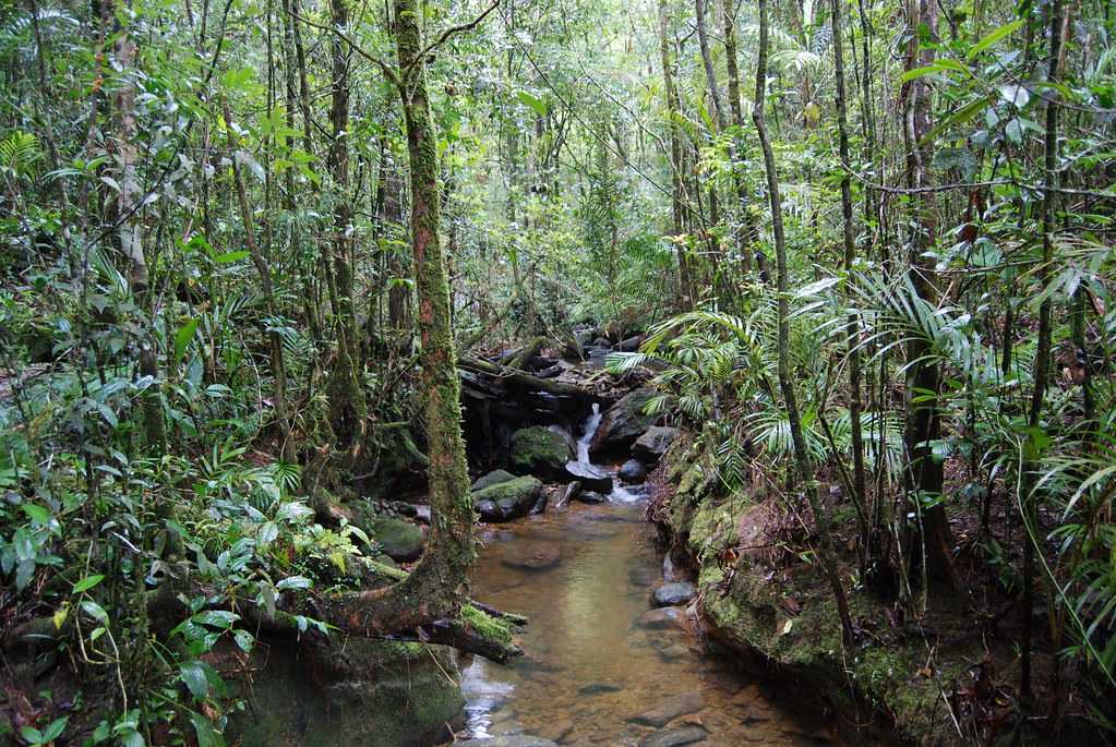 Kinabalu National Park