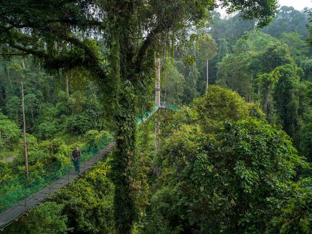 Borneo, Landscapes in Indonesia