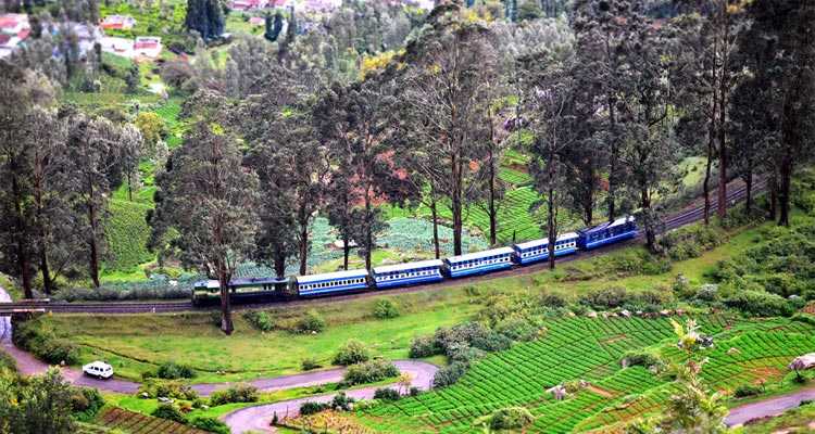 Coorg to Mysore Train