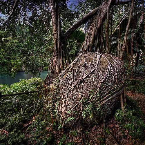 Bukit Batok Nature Park