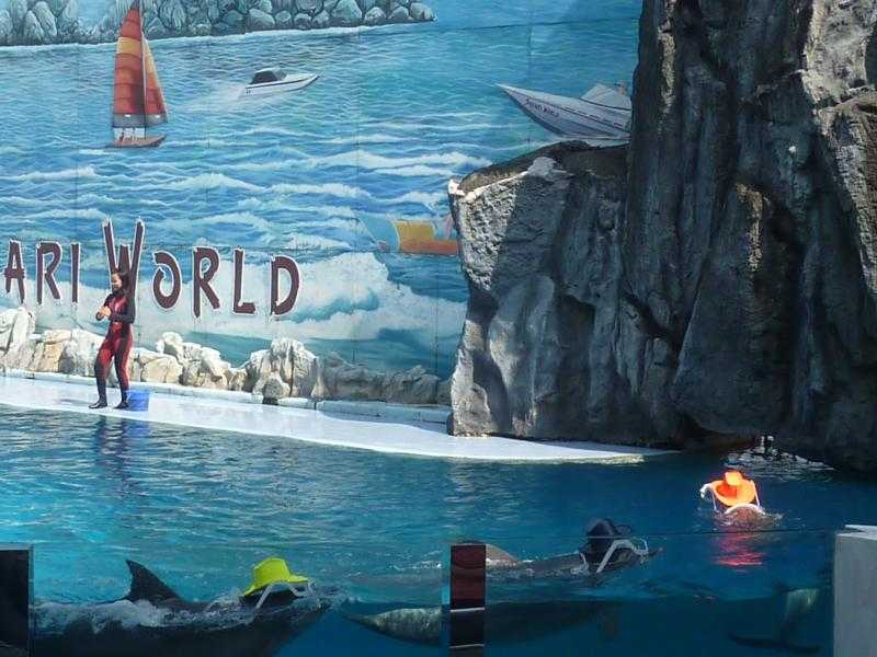 Pattaya Dolphin World