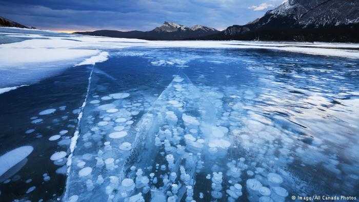 Frozen Bubbles (Canada)