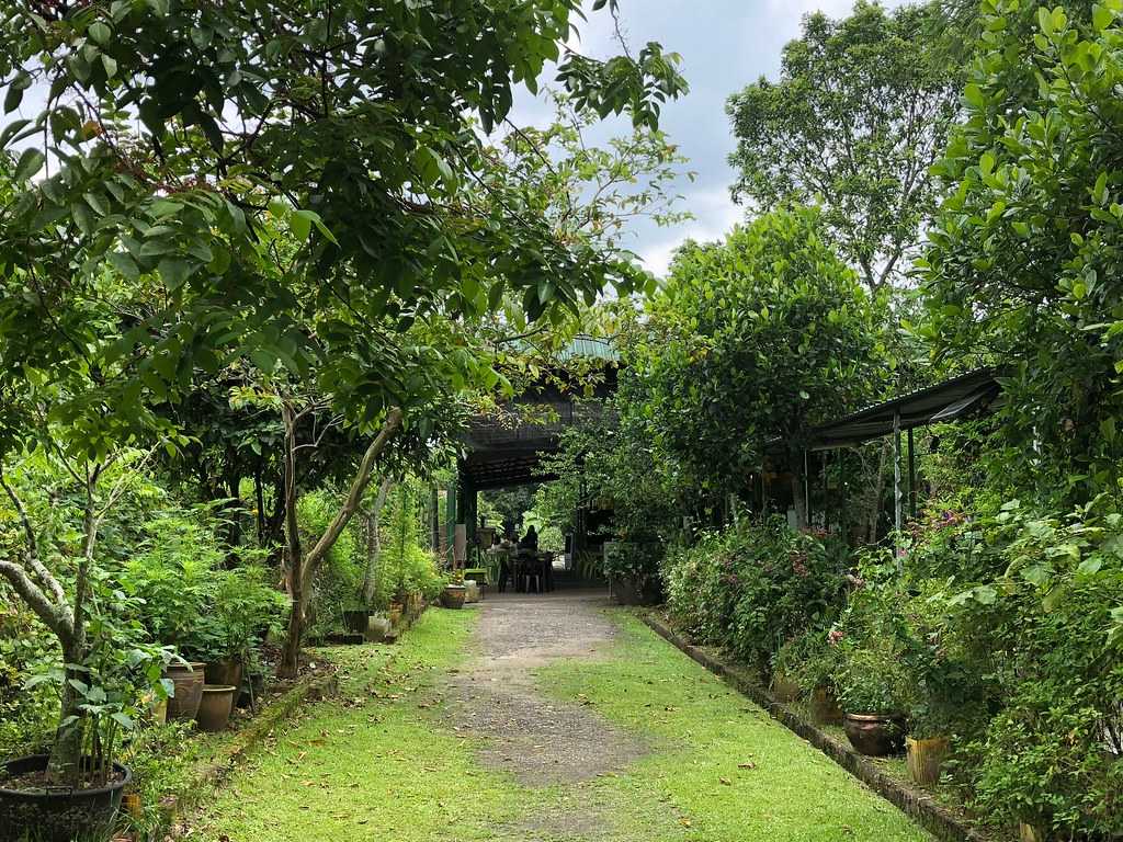 Bollywood Veggies at Kranji Farms Singapore