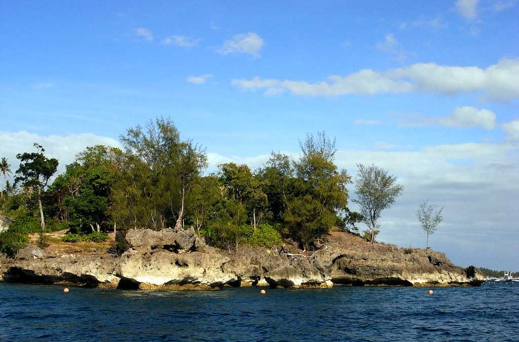 Crocodile Island