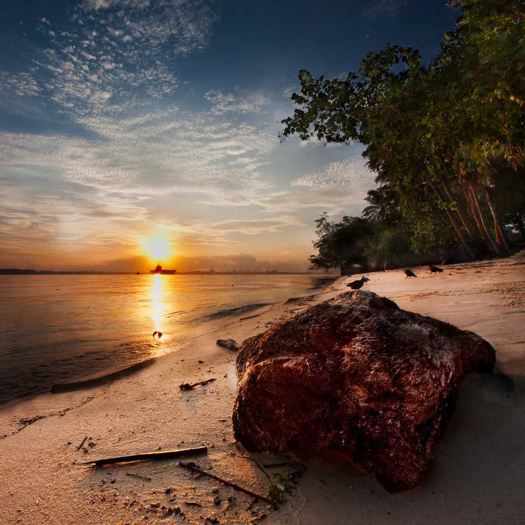 Sunrise at Sembawang Park