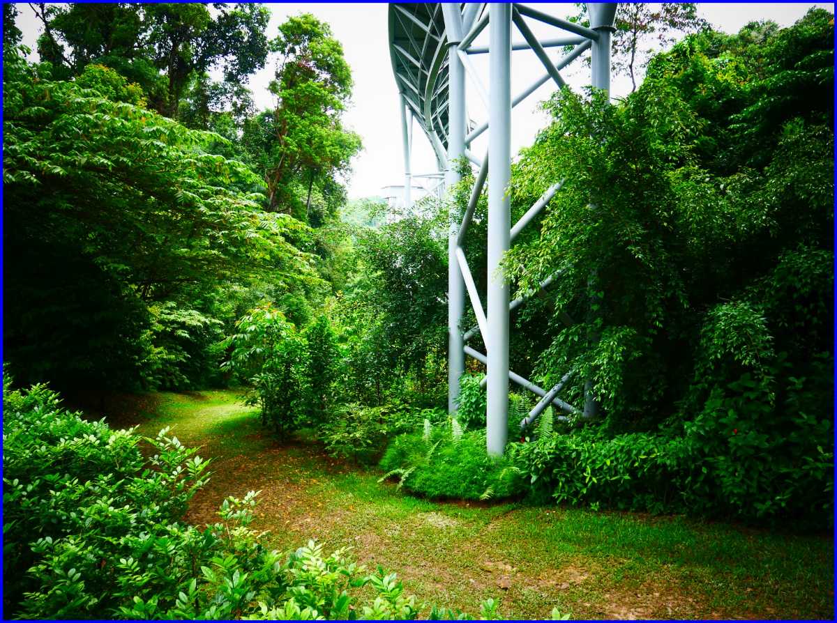 Fort Siloso Trail Singapore