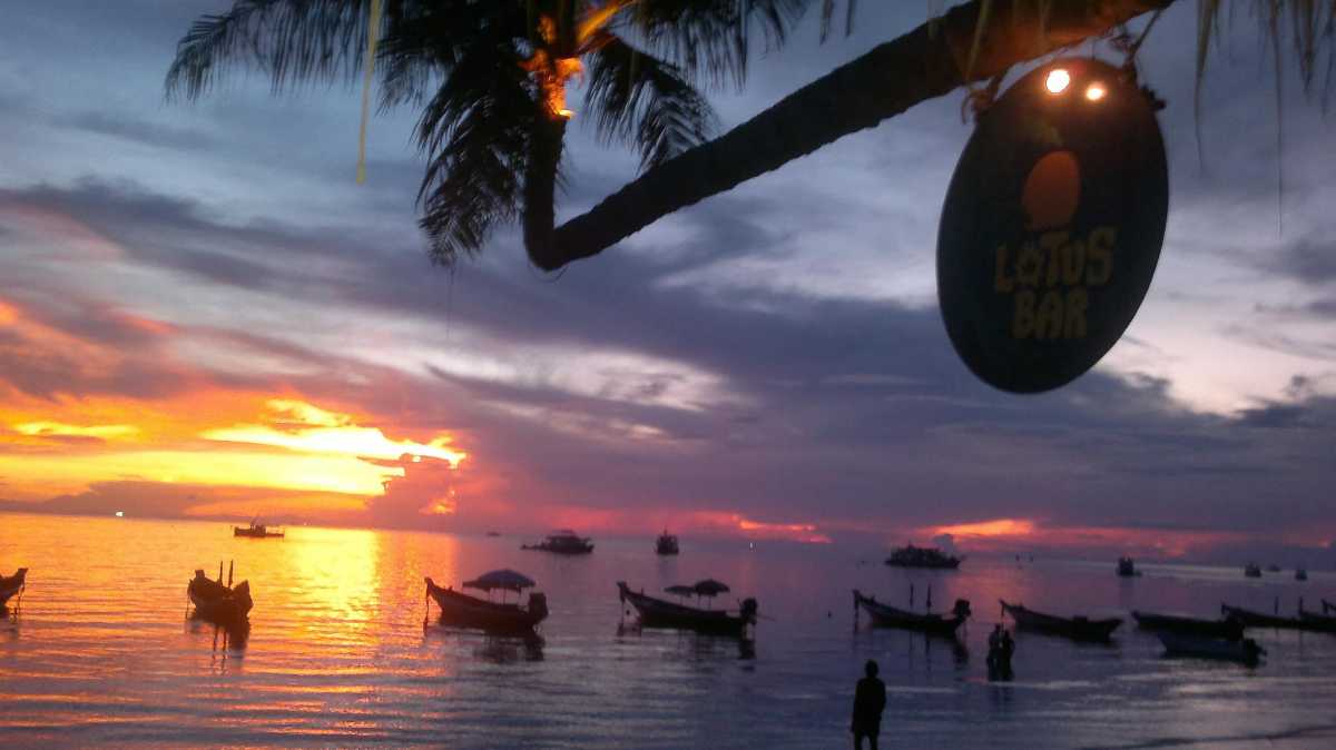 The Lotus Bar, Koh Tao