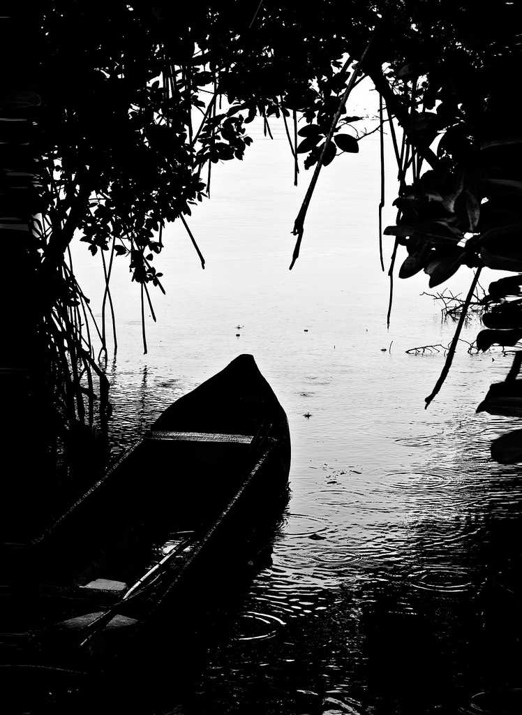 Chorao Island, Goa, Islands of India