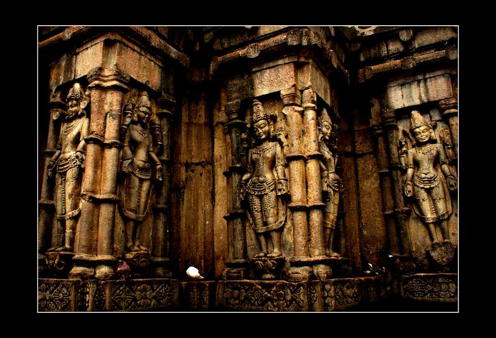 kamakhya temple, kamakhya temple black magic