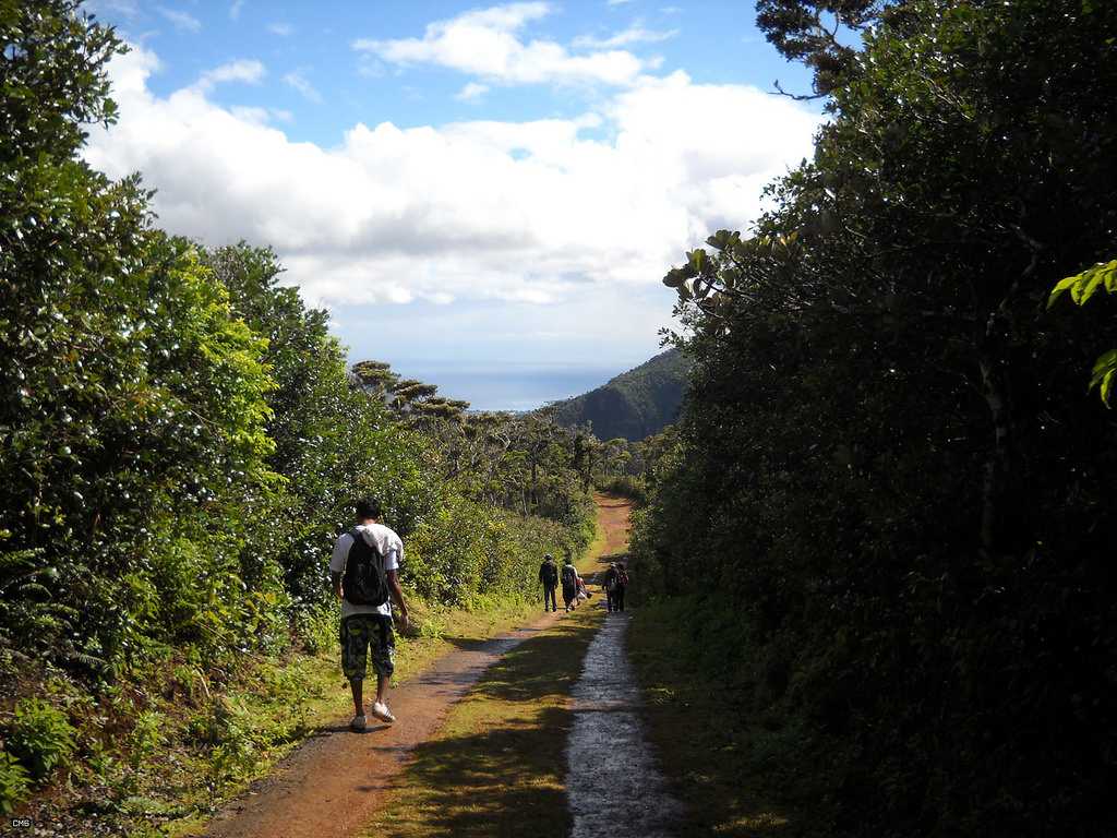 Hiking and Trekking, Black River Gorges National Park