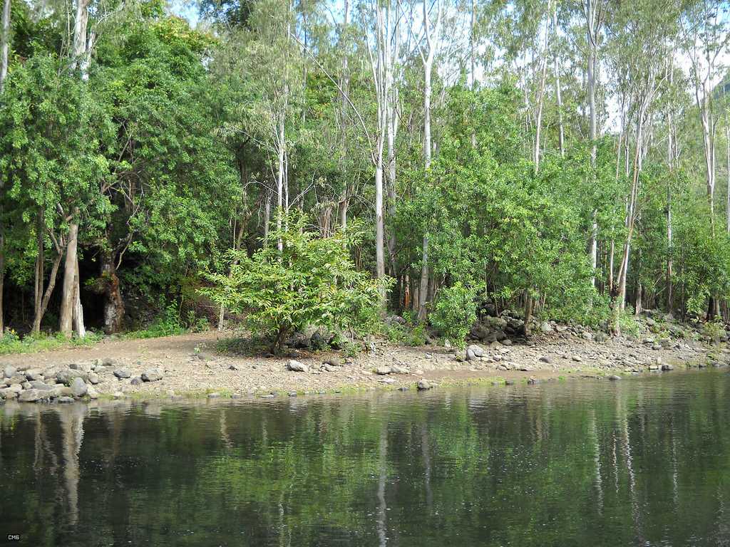 Black River Gorges National Park