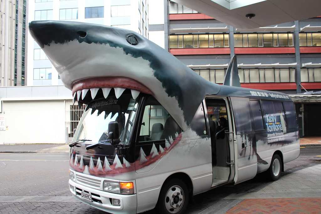 Shark bus