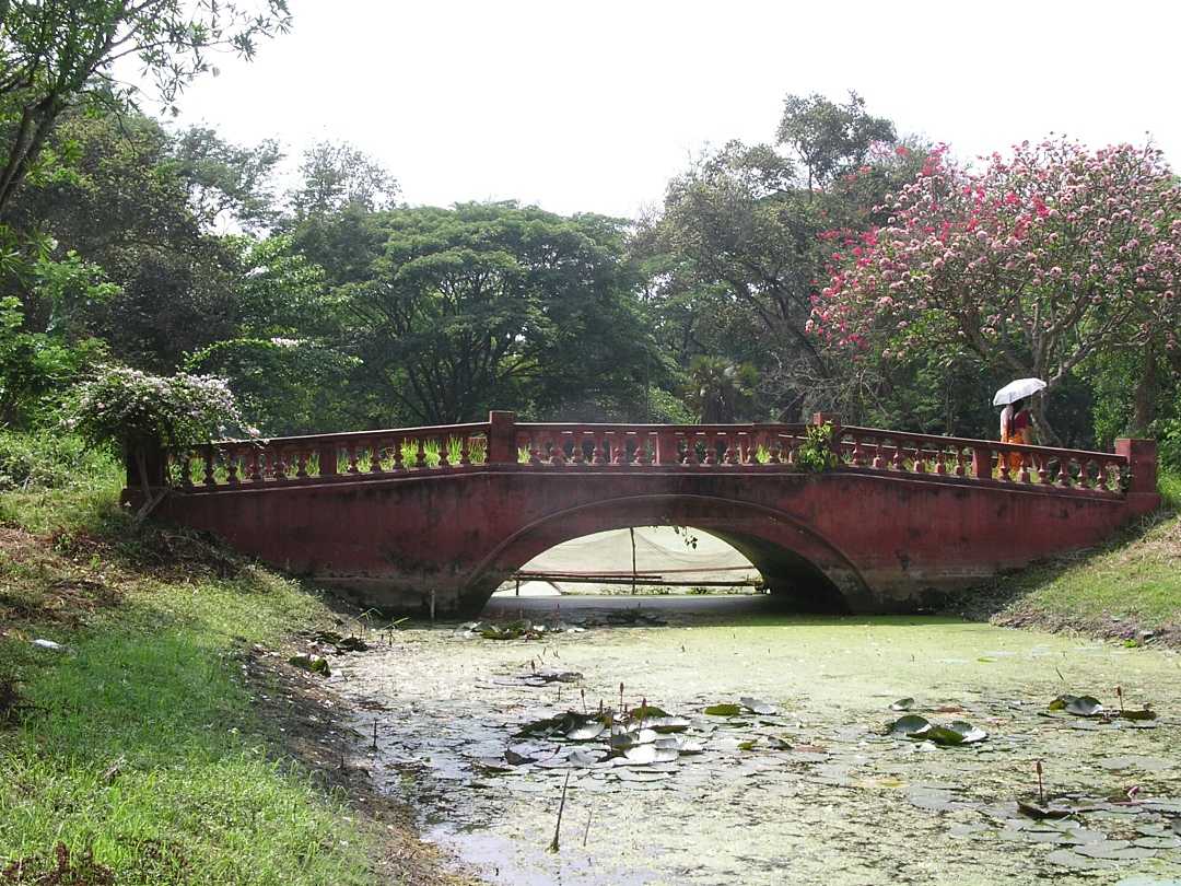 Kolkata Botanical Gardens