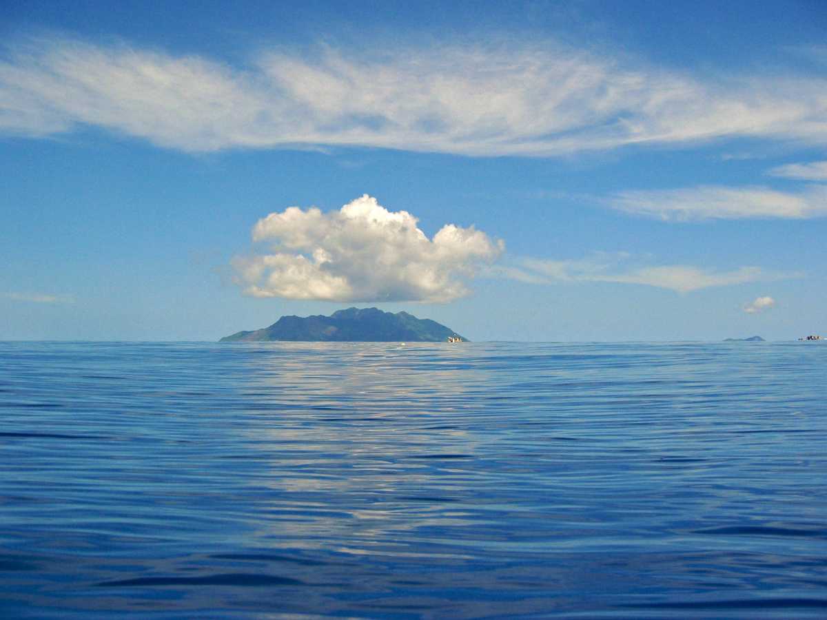 Silhouette Island, Wildlife in Seychelles