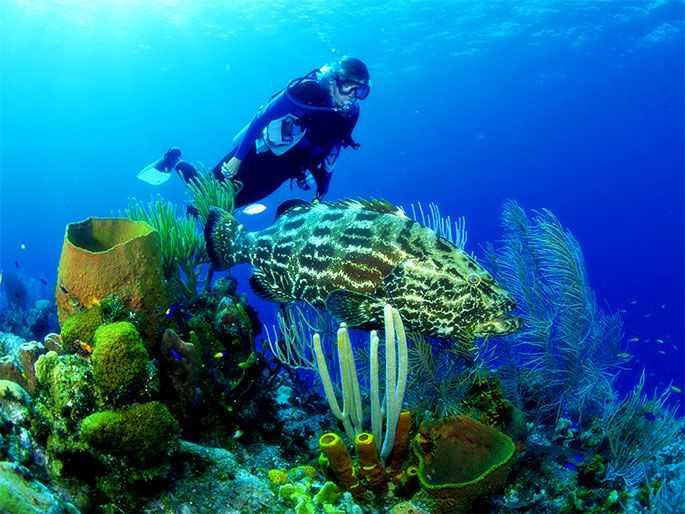 Snorkelling in Vietnam