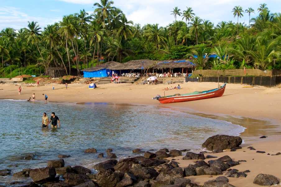 Curlies Shack, Nightlife in Goa