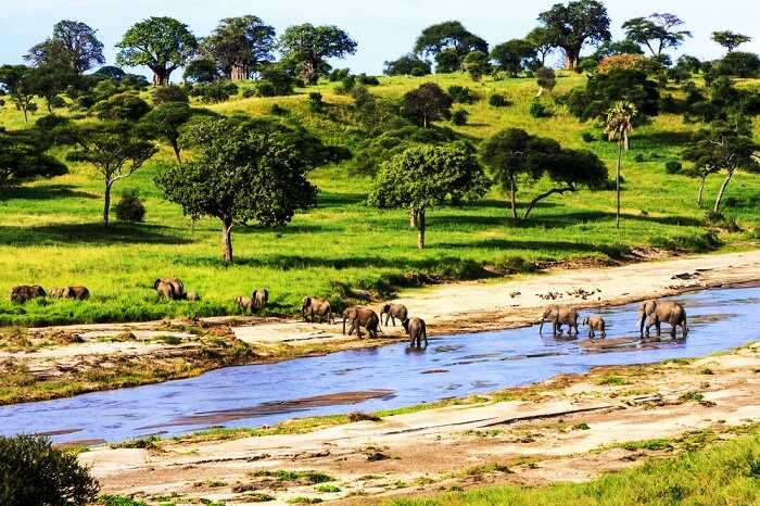 tanzania tour packages from delhi