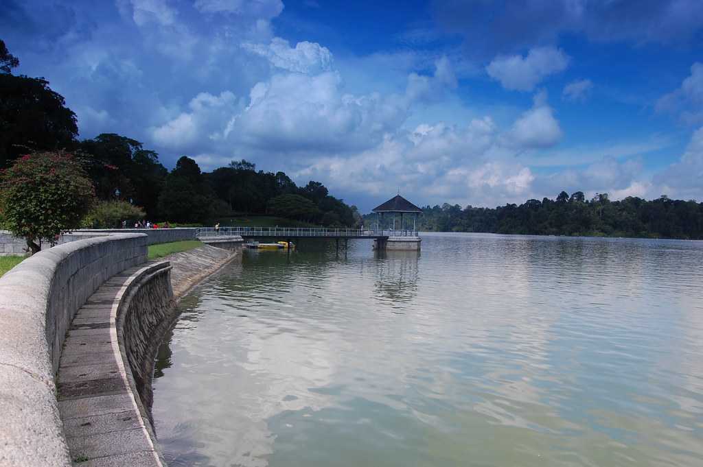MacRitchie Reservoir park Singapore
