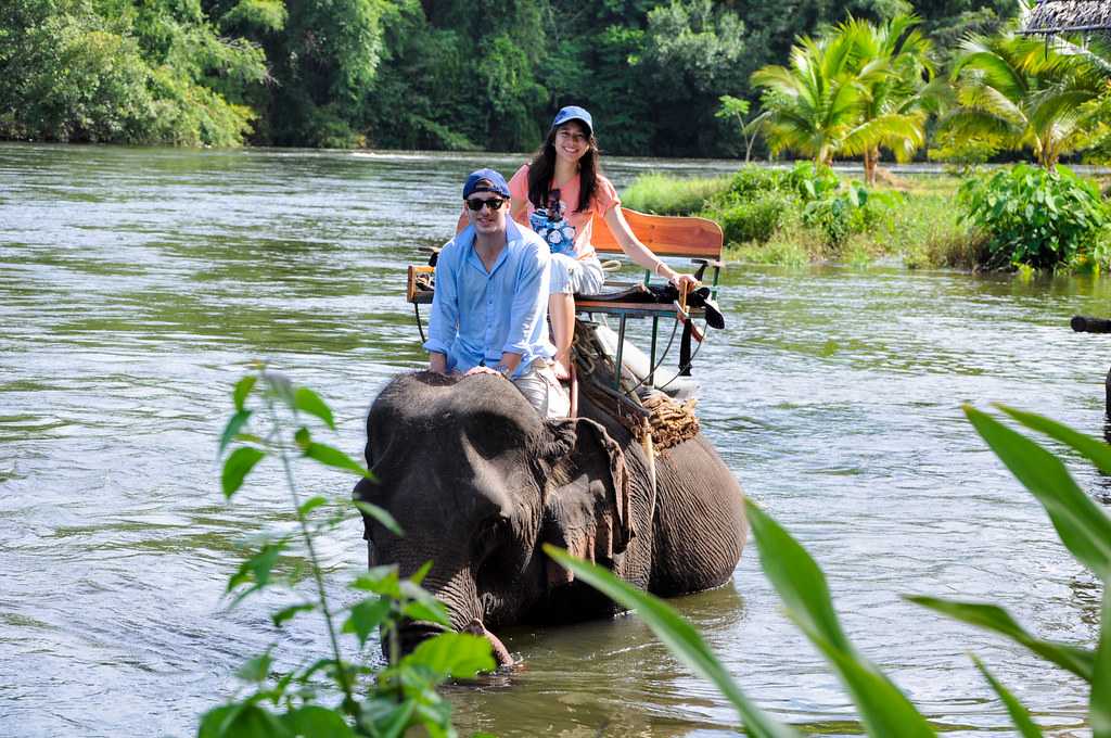 Best Time to Take an Elephant Ride in bangkok Thailand